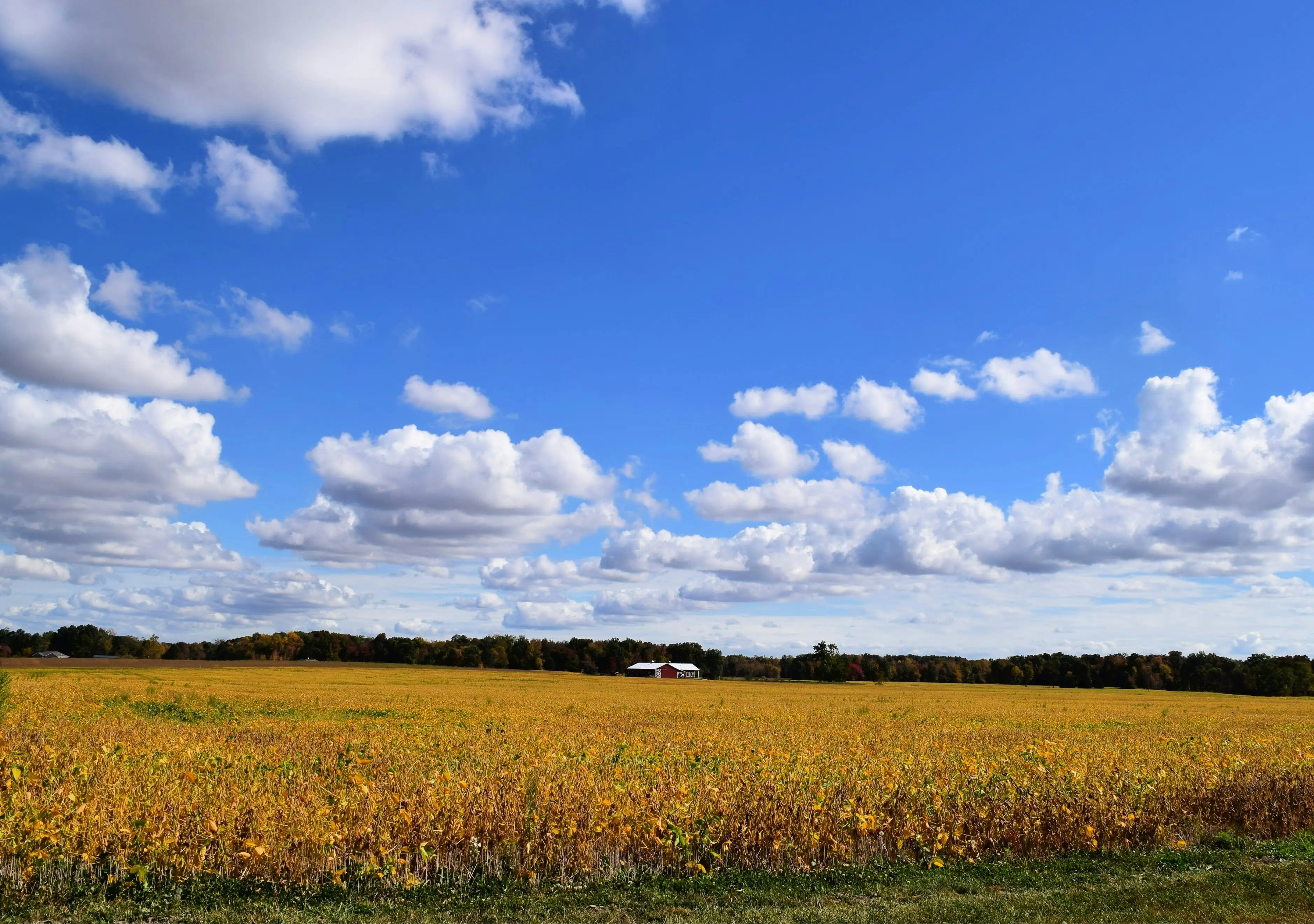 Rural Indiana farmland covered by On-Ramp Indiana fixed wireless internet
